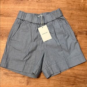 Everlane Pinstripe Blue Shorts